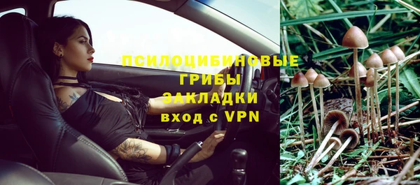 гашик Наволоки